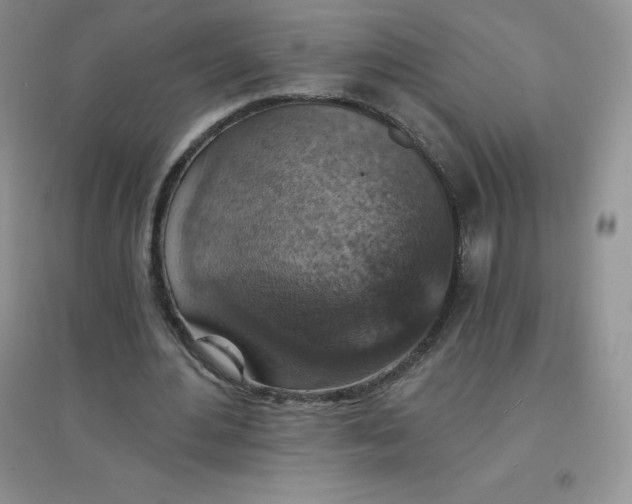 X0000097670484200803142158