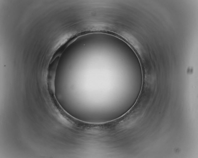 X0000097670485200803142158