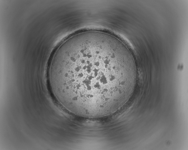 X0000097670487200803142158