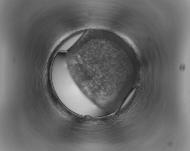 X0000097670488200803142158