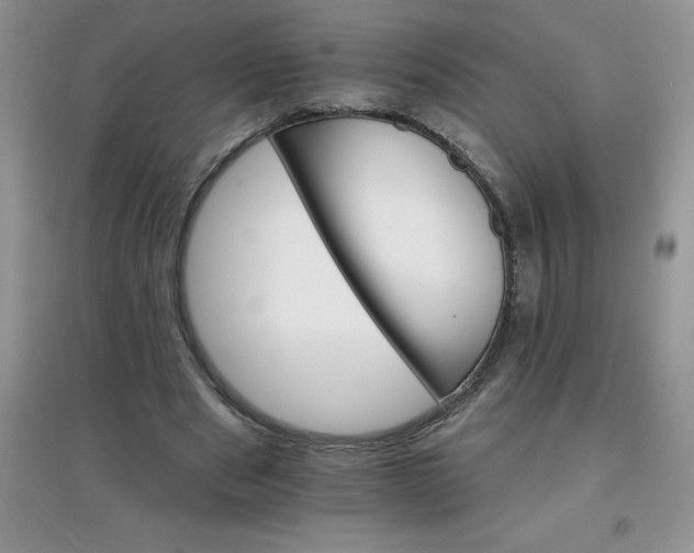 X0000097670489200803142157