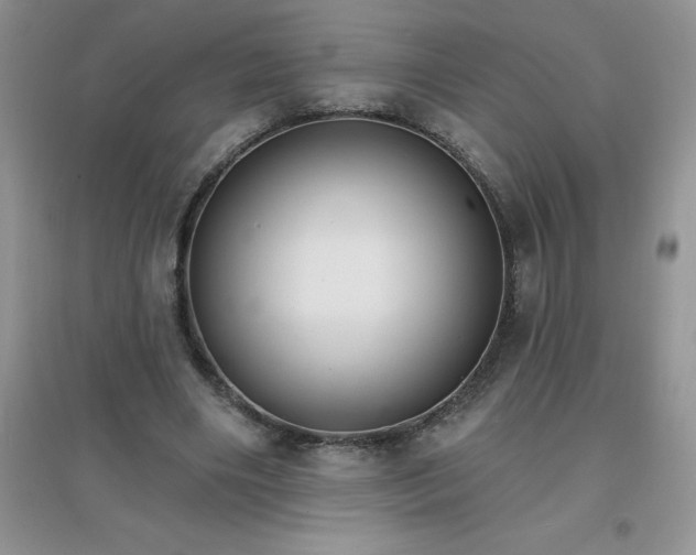 X0000097670490200803142157