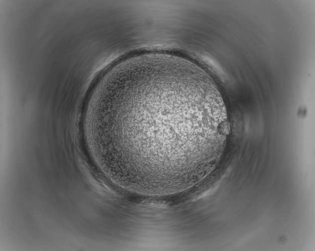 X0000097670491200803142157
