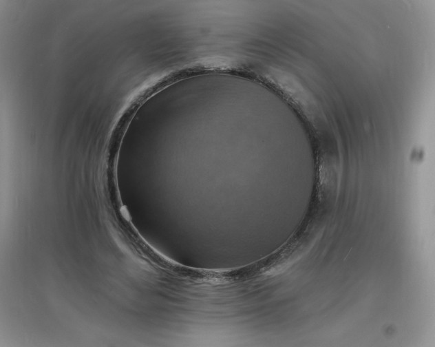 X0000097670492200803142157