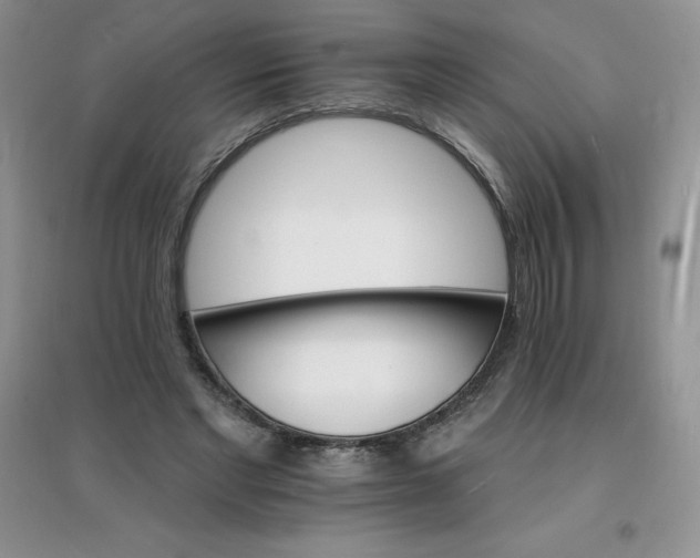 X0000097670493200803142157