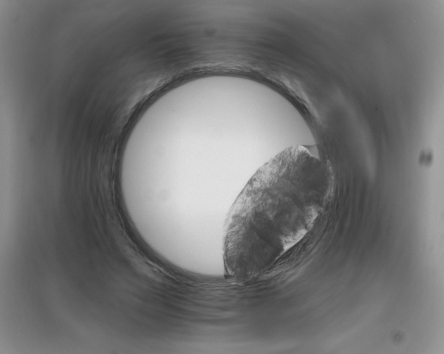 X0000097670495200803142157