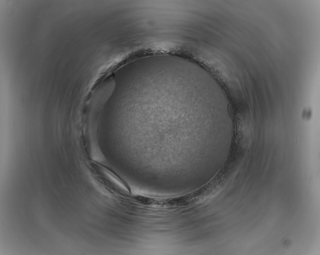 X0000097670496200803142157