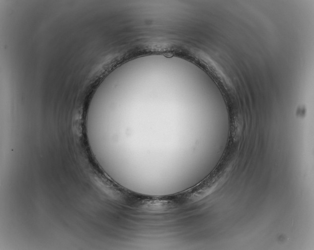 X0000097670497200803142157
