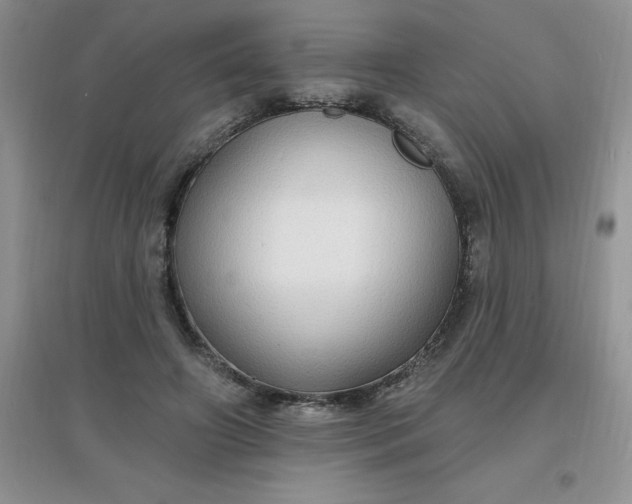 X0000097670498200803142157