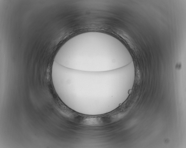 X0000097670499200803142157