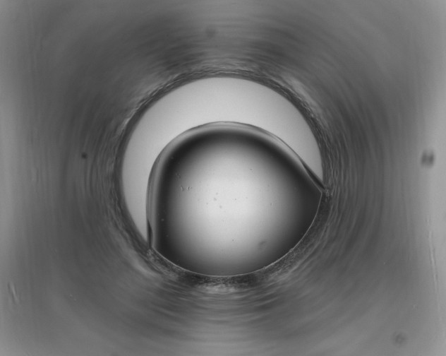 X0000097670500200803142157