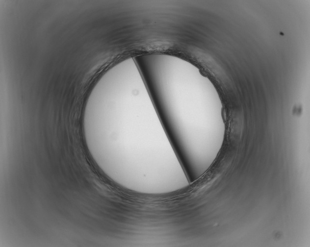 X0000097670501200803142157