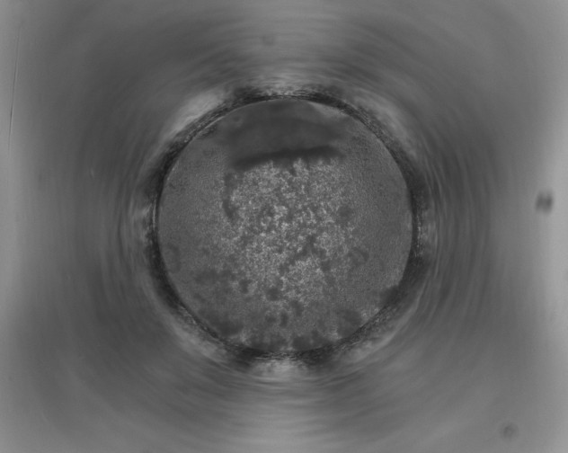 X0000097670503200803142157