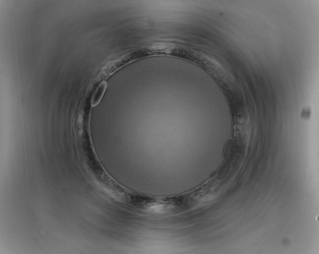 X0000097670504200803142157