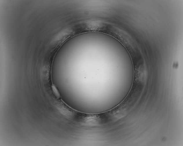 X0000097670505200803142157