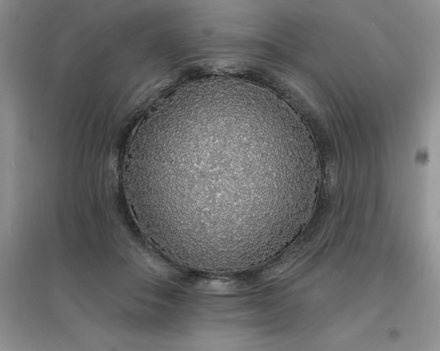 X0000097670506200803142157