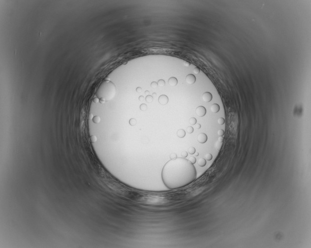 X0000097670507200803142157