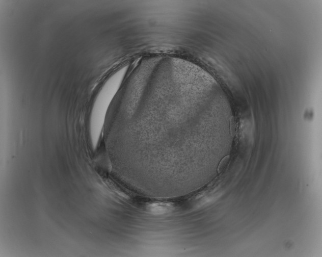 X0000097670508200803142157