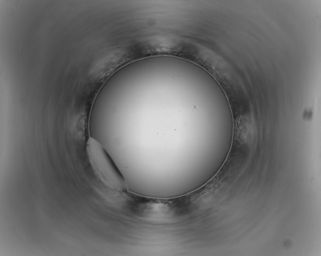 X0000097670509200803142157