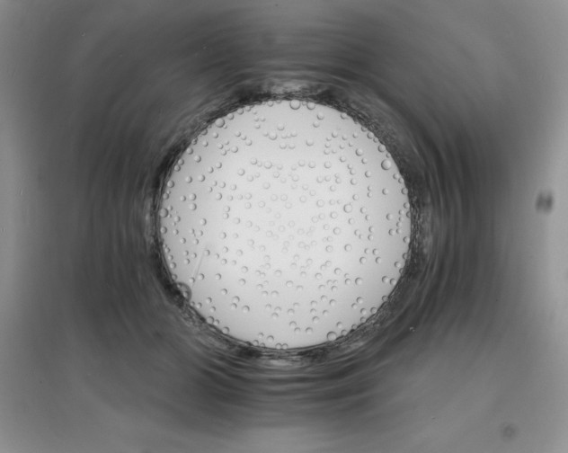 X0000097670510200803142157