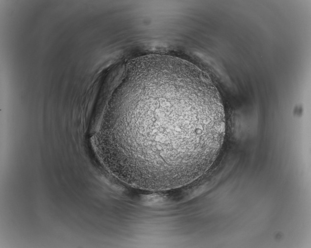 X0000097670511200803142157