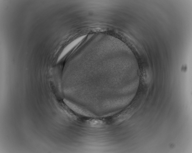 X0000097670512200803142157