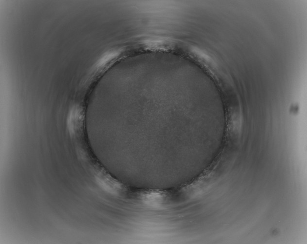 X0000097670513200803142157