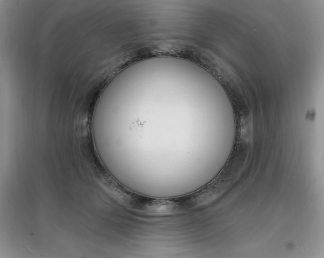 X0000097670514200803142157
