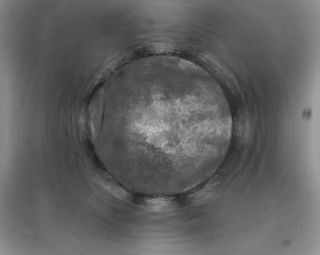 X0000097670516200803142157
