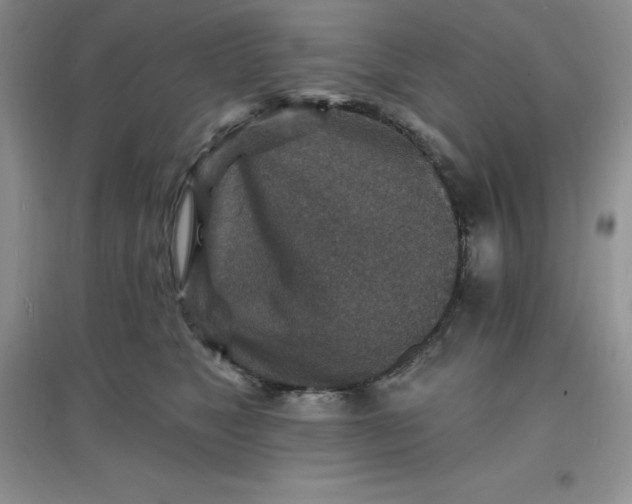 X0000097670517200803142157