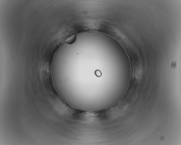 X0000097670518200803142157
