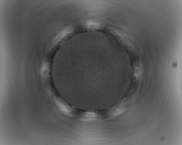 X0000097670519200803142157