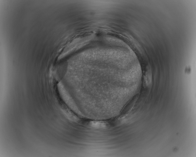 X0000097670520200803142157