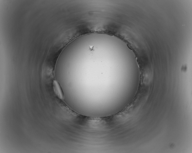 X0000097670521200803142157
