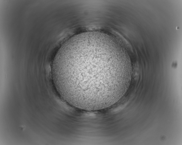 X0000097670523200803142157