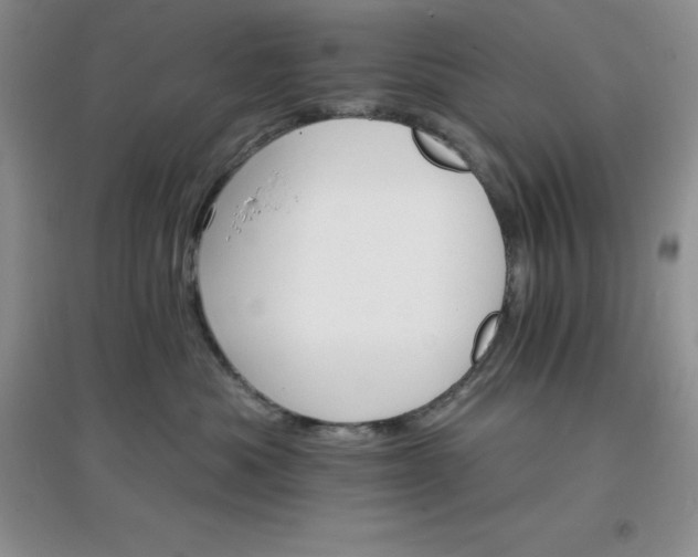 X0000097670525200803142157