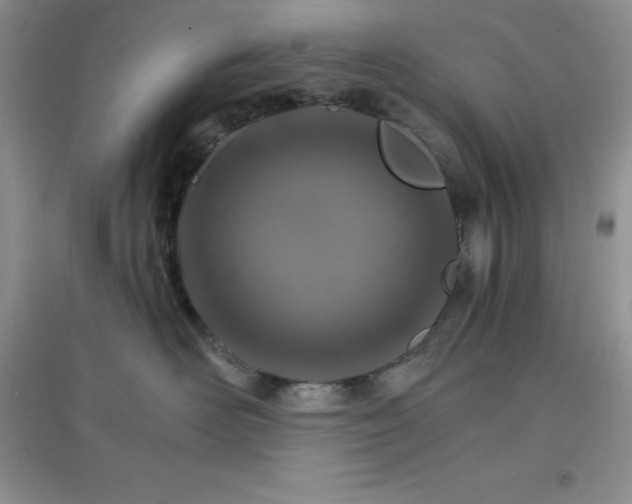 X0000097670526200803142157