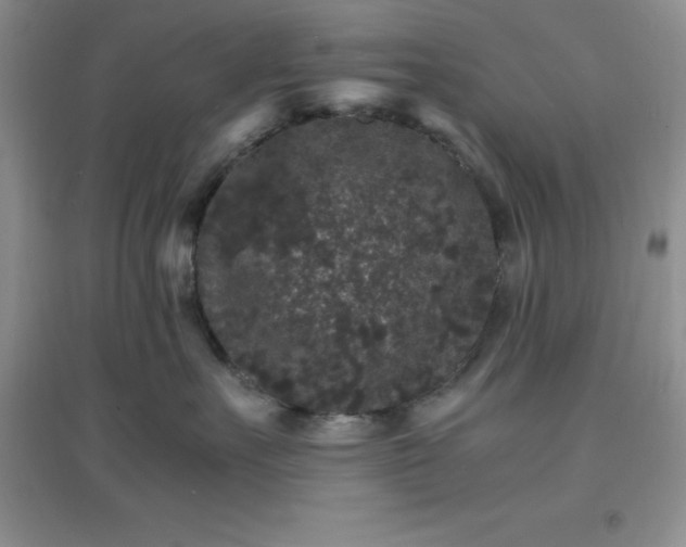 X0000097670527200803142157