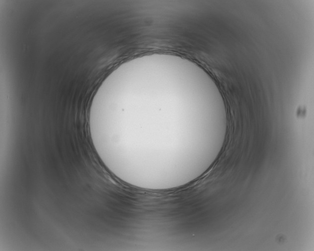 X0000097670528200803142157