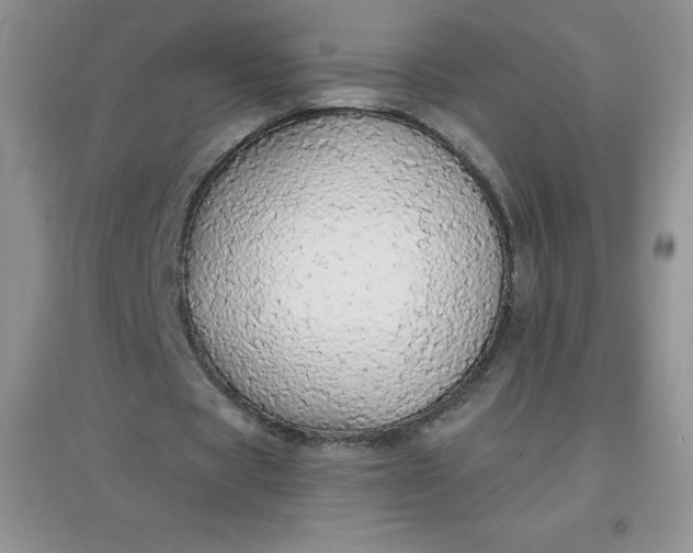 X0000097670529200803142156