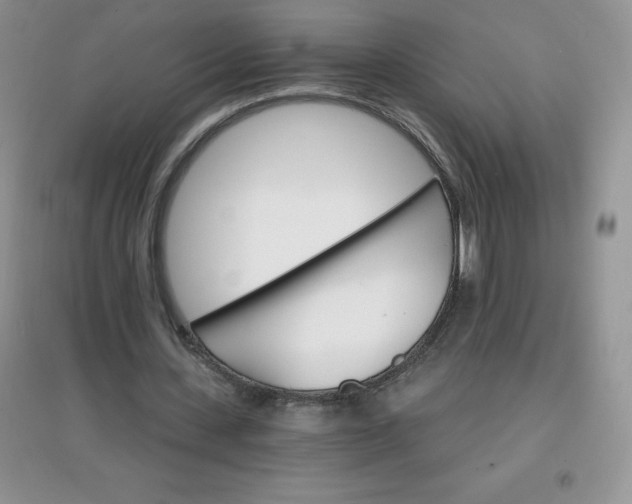 X0000097670531200803142156