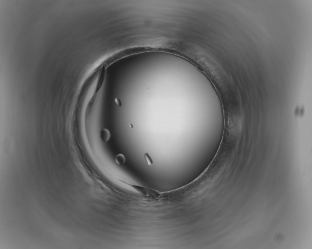 X0000097670532200803142156