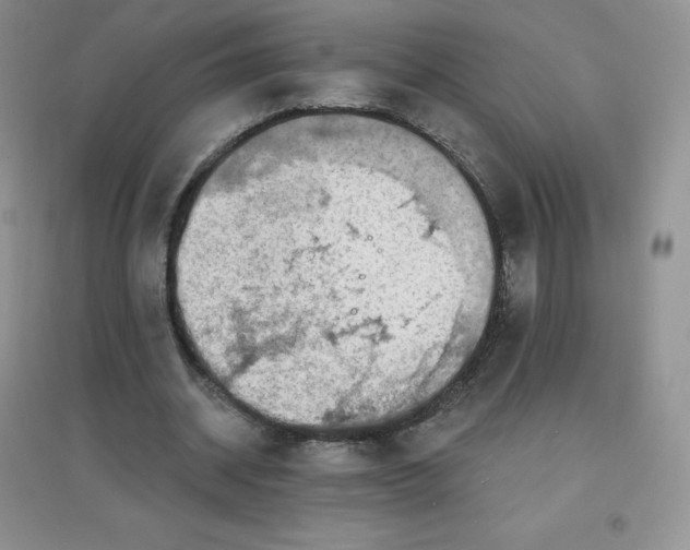 X0000097670534200803142156