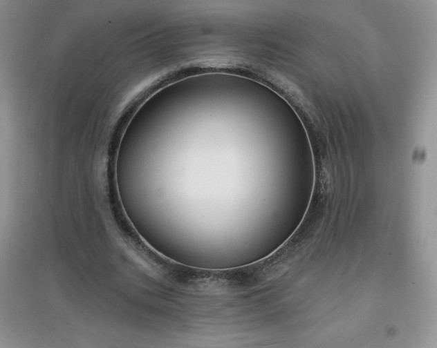 X0000097670535200803142156