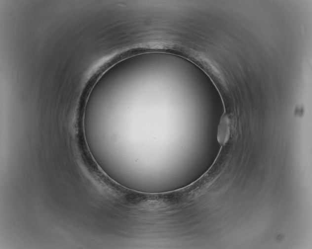X0000097670536200803142156