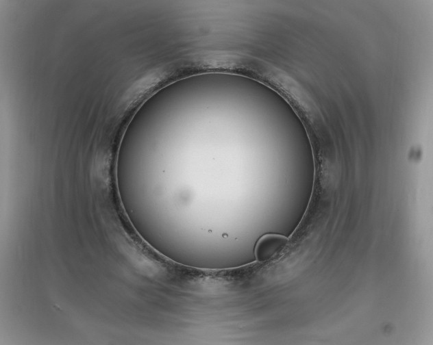X0000097670537200803142156