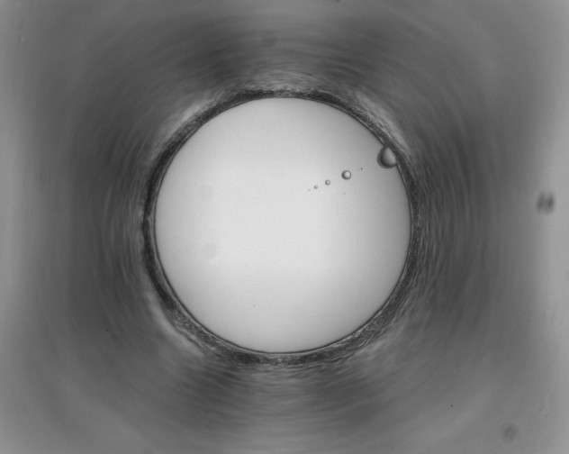 X0000097670538200803142156