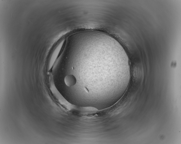 X0000097670540200803142156