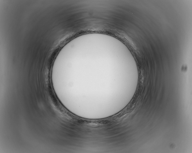 X0000097670542200803142156