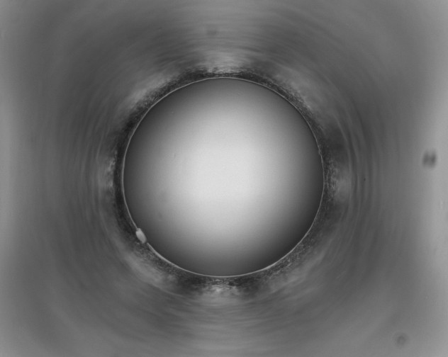 X0000097670543200803142156
